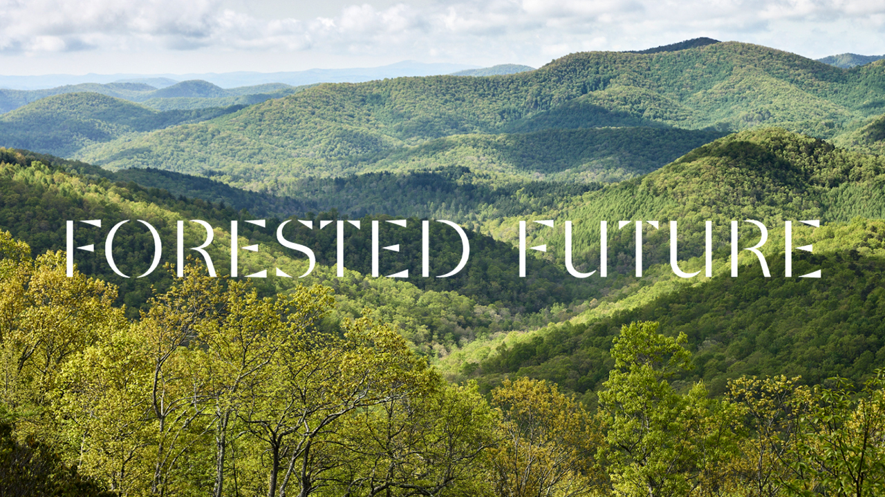 Forested Funture_sliding-banner01