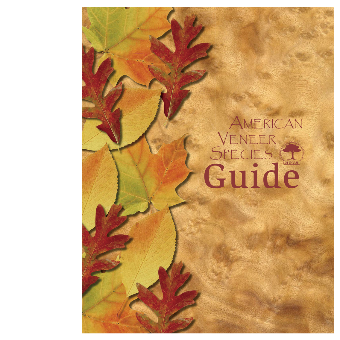 Veneer Guide-Eng_Cover