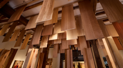 Wood_for_the_Trees_Exhibition4