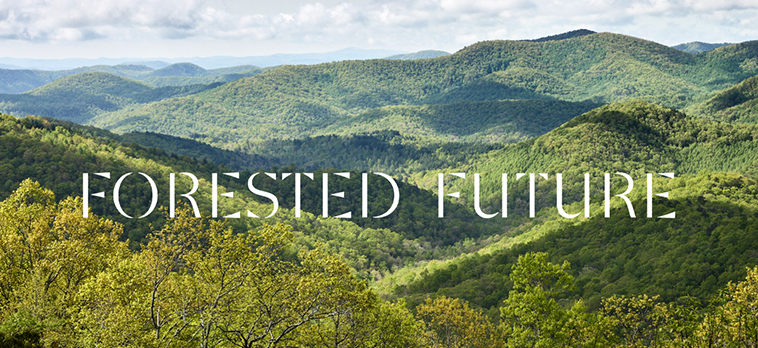 Forested Funture_thumbnail01