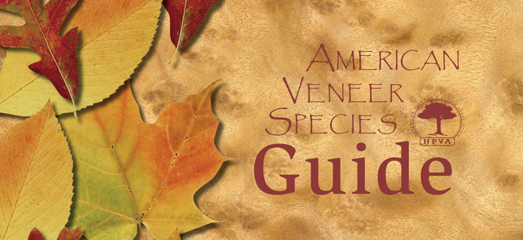 Veneer Guide-Eng_Thumbnail